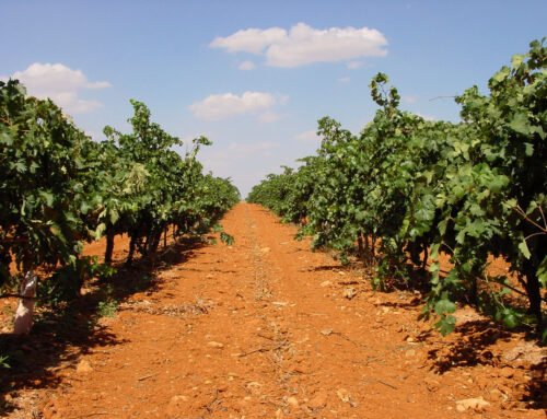 MAPAL: Bench type cultivation kit
